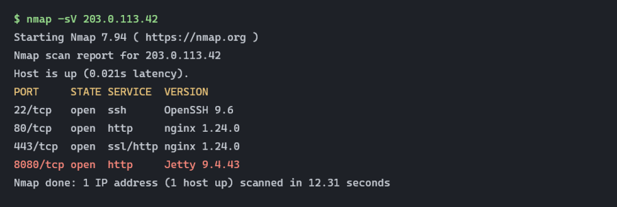 A raw screenshot of terminal output from a port scan, cut off square.